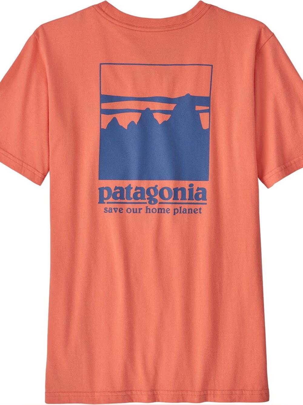 NWT Patagonia organic tee boys 10